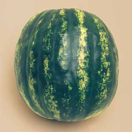 Melancia Crimson Sweet 50g Sementes