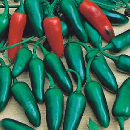 Pimenta Jalapeno M 2,5g sementes