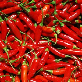 Pimenta Malagueta 2,5g sementes