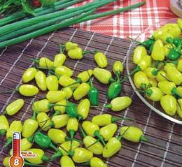 Pimenta Cumari do Pra 2,5g (sementes)