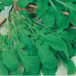 Rucula Folha Larga 100g