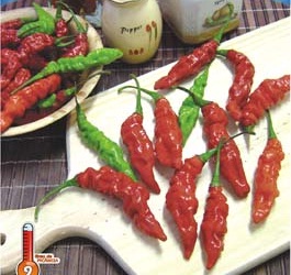 Pimenta Murupi 2,5g (sementes)