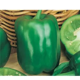 Piment�o All Big 2,5g (sementes)