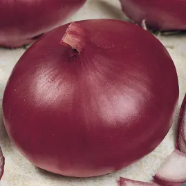 Cebola roxa red creole 5gr sementes