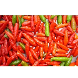 Pimenta Tabasco 2,5g (sementes)