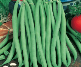 Feij�o-de-Vagem Macarr�o Trepador - Sementes 10gr