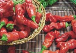 Pimenta Peter 2,5g (sementes)