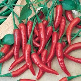 Pimenta Dedo de Mo�a 2,5g