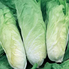 Almeirao Pao de Acucar 10g