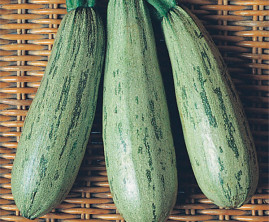 Abobrinha Caserta 10g de Sementes