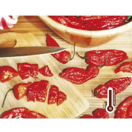 Pimenta Bhut Jolokia (pimenta do livro dos recordes) 500 sementes