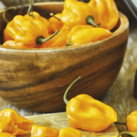 Pimenta Habanero Amarela 2,5g (sementes)