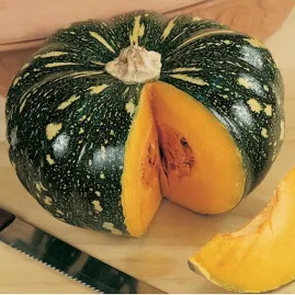 Abobora Bahiana Tropical 50g Sementes