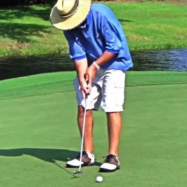 Grama Bermuda Importada 500 g de sementes melhoradas