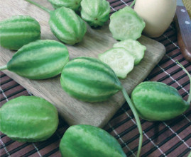 Maxixe Liso Gib�o 10 g sementes