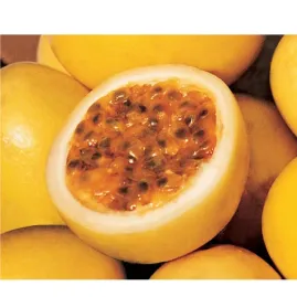 Maracuj� REDONDO AMARELO 2g sementes
